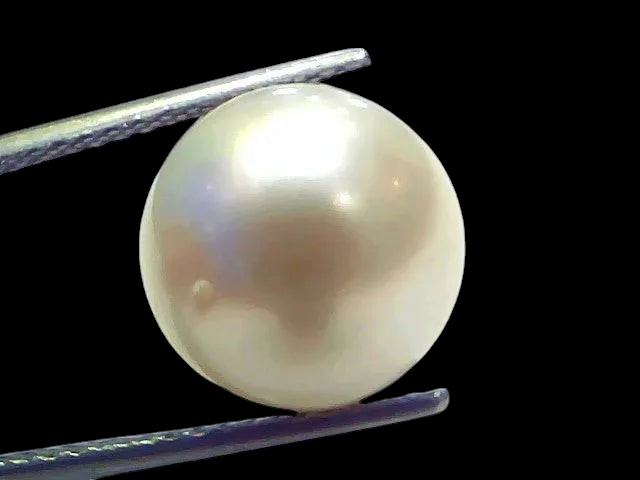 Huge 14.02 Ct Natural Certified Real South Sea Pearl Certified Moti - Venus Gems