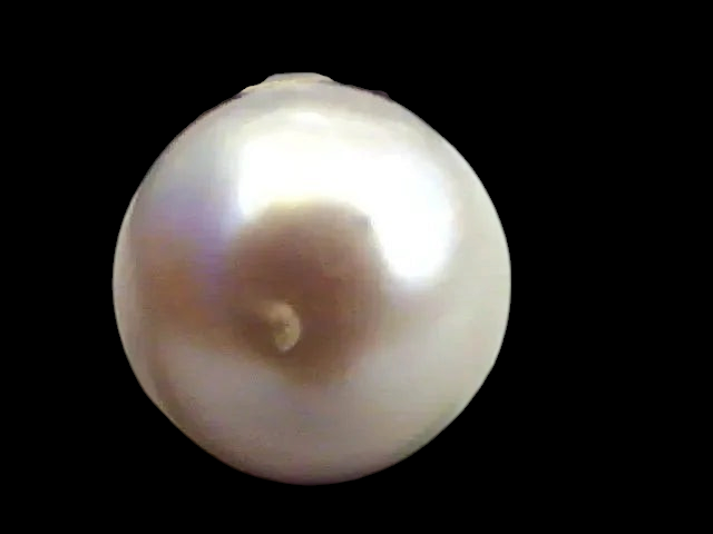 Huge 13.82 Carat Natural Certified Real South Sea Pearl,Certified Moti - Venus Gems