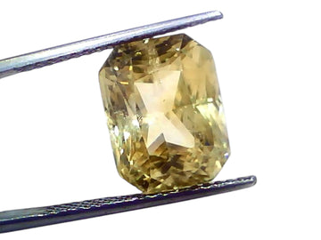 Huge 14.01 Carat 15.56 Ratti GII Certified Ceylon Yellow Sapphire Pukhraj Stone