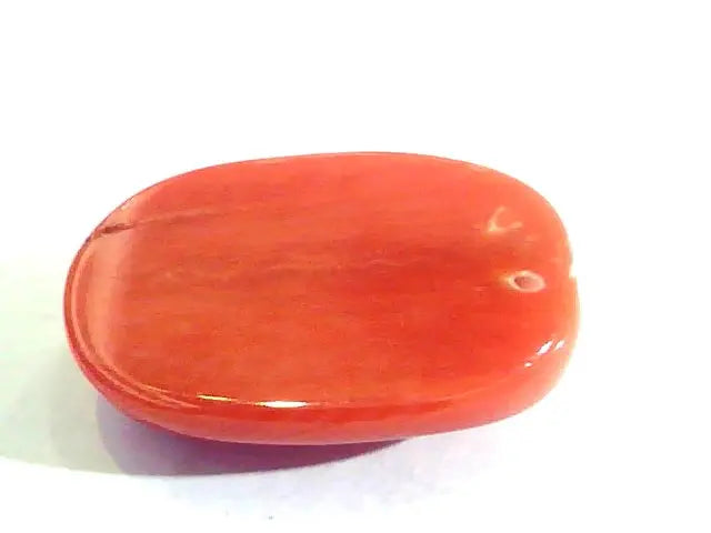 Huge 14.21 Ct Untreated Natural Premium Italian Red Coral AAAAA