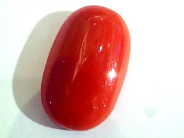 Huge 14.21 Ct Untreated Natural Premium Italian Red Coral AAAAA