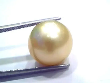 Huge 14.45 Ct Natural Certified Real South Sea Pearl Certified Moti - Venus Gems