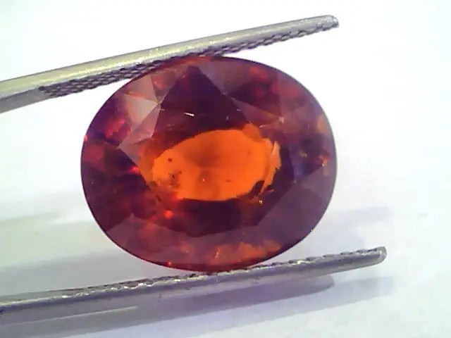 Huge 14.53 Ct Untreated Premium Natural Ceylon Gomedh/Hessonite
