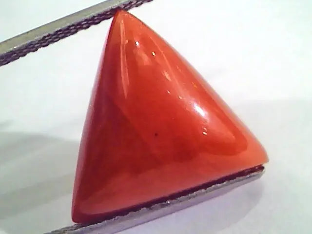Huge 14.57 Ct Untreated Natural Italian Triangle Red Coral AAA