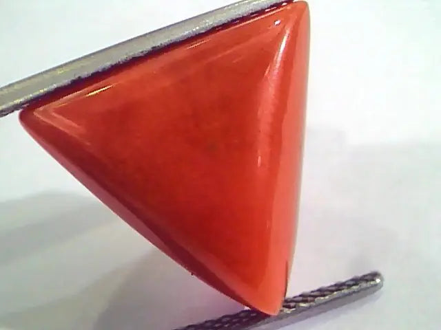 Huge 14.57 Ct Untreated Natural Italian Triangle Red Coral AAA
