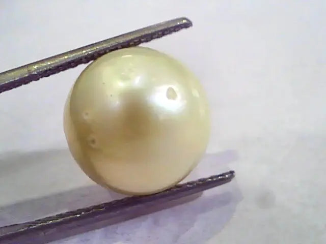 Huge 15.10 Carat Natural Certified Real South Sea Pearl,Certified Moti