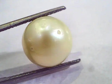 Huge 15.10 Carat Natural Certified Real South Sea Pearl,Certified Moti