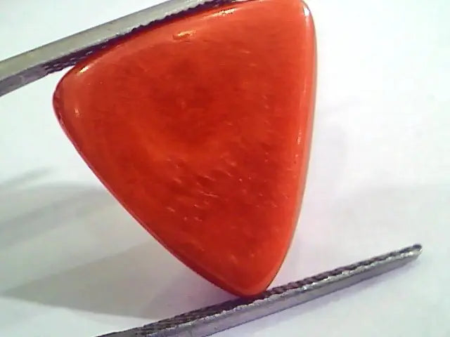 Huge 15.32 Ct Untreated Natural Italian Triangle Red Coral AAA