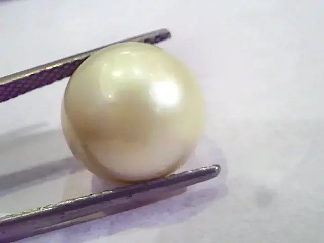 Huge 15.72 Carat Natural Certified Real South Sea Pearl,Certified Moti - Venus Gems