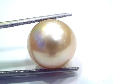 Huge 15.74 Ct Natural Certified Real South Sea Pearl Certified Moti - Venus Gems