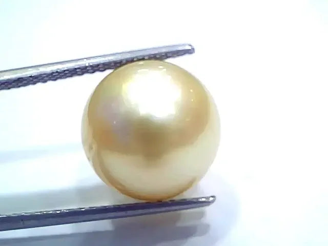 Huge 15.84 Ct Natural Certified Real South Sea Pearl Certified Moti - Venus Gems