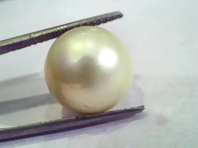 Huge 16.19 Carat Natural Certified Real South Sea Pearl,Certified Moti