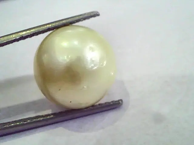 Huge 16.23 Carat Natural Certified Real South Sea Pearl,Certified Moti