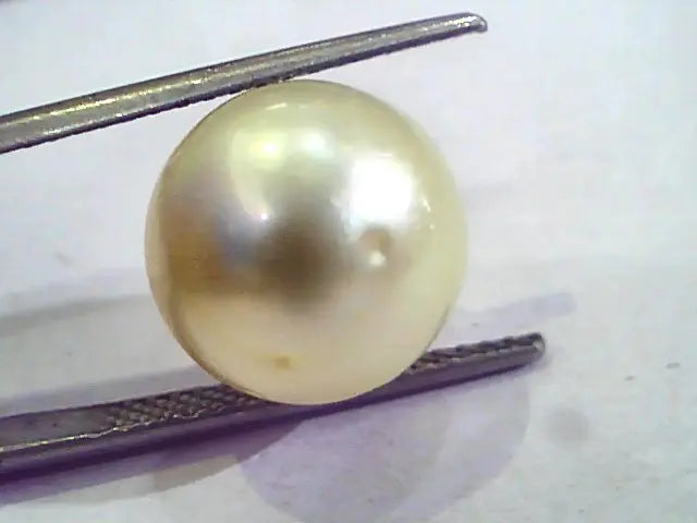 Huge 16.44 Carat Natural Certified Real South Sea Pearl,Certified Moti