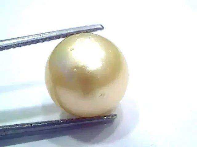 Huge 16.48 Ct Natural Certified Real South Sea Pearl Certified Moti - Venus Gems