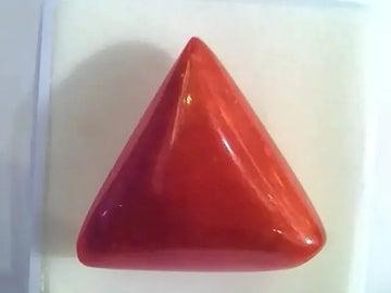 Huge 16.50 Ct Untreated Natural Italian Triangle Red Coral AAA - Venus Gems