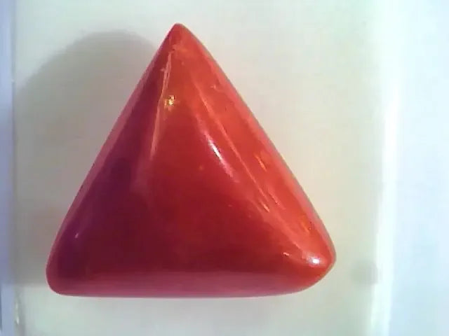 Huge 16.50 Ct Untreated Natural Italian Triangle Red Coral AAA - Venus Gems