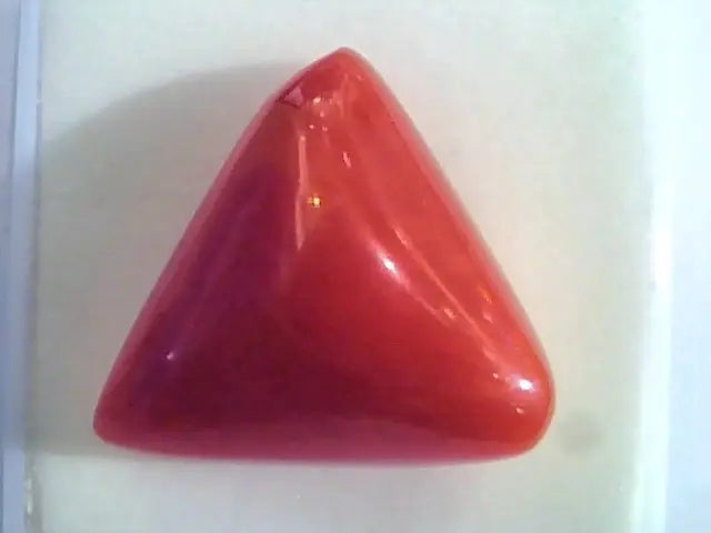 Huge 16.63 Ct Untreated Natural Italian Triangle Red Coral AAA