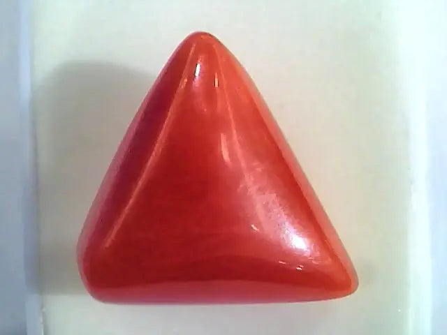 Huge 16.63 Ct Untreated Natural Italian Triangle Red Coral AAA