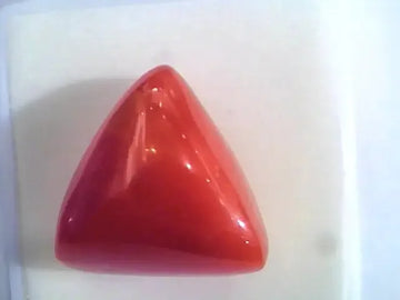 Huge 16.71 Ct Untreated Natural Italian Triangle Red Coral AAA - Venus Gems