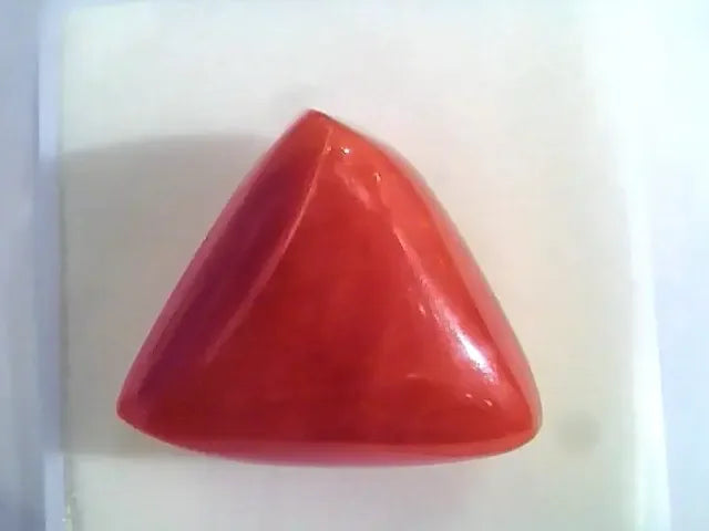Huge 16.71 Ct Untreated Natural Italian Triangle Red Coral AAA - Venus Gems