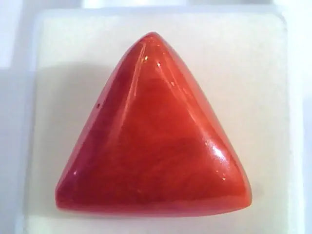 Huge 16.81 Ct Untreated Natural Italian Triangle Red Coral AAA