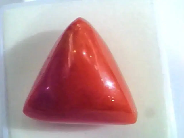 Huge 16.81 Ct Untreated Natural Italian Triangle Red Coral AAA