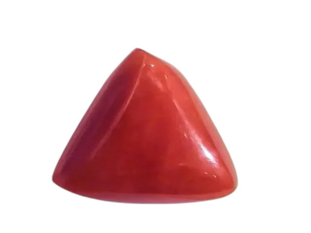 Huge 16.71 Ct Untreated Natural Italian Triangle Red Coral AAA - Venus Gems