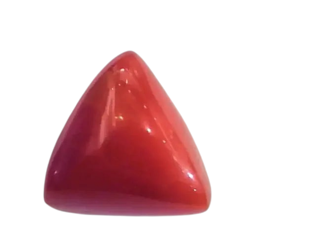 Huge 16.71 Ct Untreated Natural Italian Triangle Red Coral AAA - Venus Gems