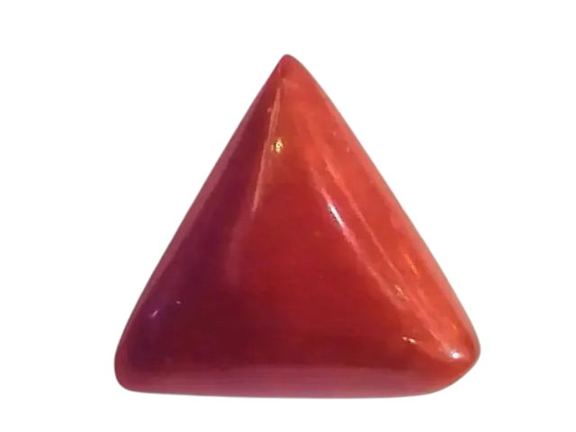 Huge 16.50 Ct Untreated Natural Italian Triangle Red Coral AAA - Venus Gems