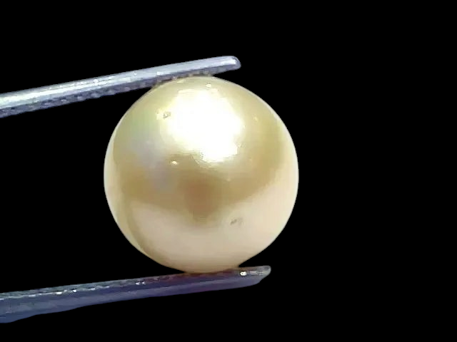 Huge 16.48 Ct Natural Certified Real South Sea Pearl Certified Moti - Venus Gems
