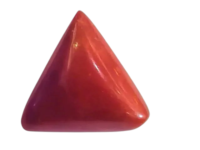 Huge 16.50 Ct Untreated Natural Italian Triangle Red Coral AAA - Venus Gems