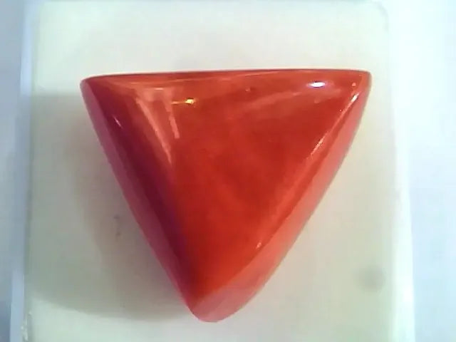 Huge 17.90 Ct Untreated Natural Italian Triangle Red Coral AAA - Venus Gems