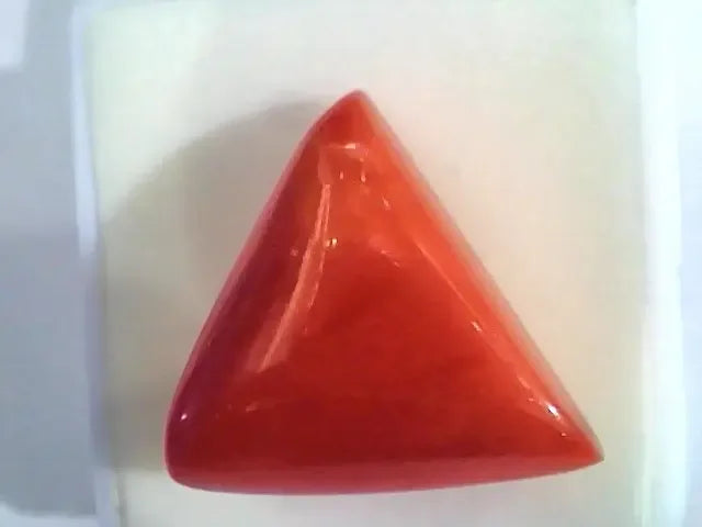 Huge 17.90 Ct Untreated Natural Italian Triangle Red Coral AAA - Venus Gems