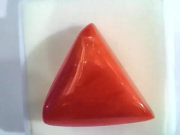 Huge 17.90 Ct Untreated Natural Italian Triangle Red Coral AAA - Venus Gems