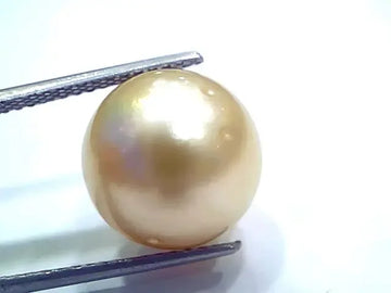 Huge 17.64 Ct Natural Certified Real South Sea Pearl Certified Moti - Venus Gems