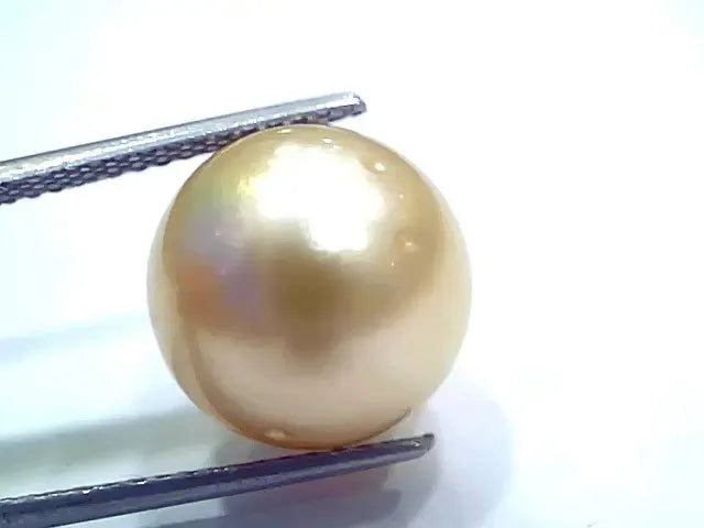 Huge 17.64 Ct Natural Certified Real South Sea Pearl Certified Moti - Venus Gems