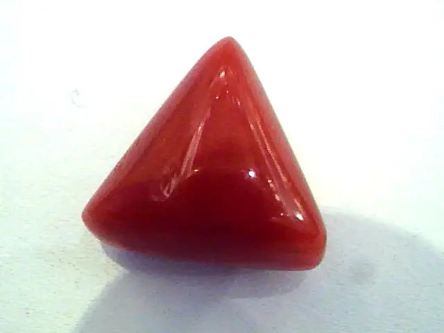 Huge 17.1 Ct Untreated Undyed Natural Italian Triangle Red Coral