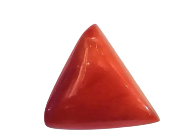 Huge 17.90 Ct Untreated Natural Italian Triangle Red Coral AAA - Venus Gems