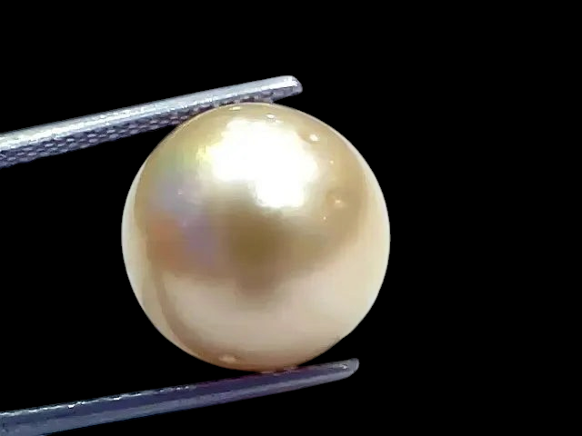 Huge 17.64 Ct Natural Certified Real South Sea Pearl Certified Moti - Venus Gems