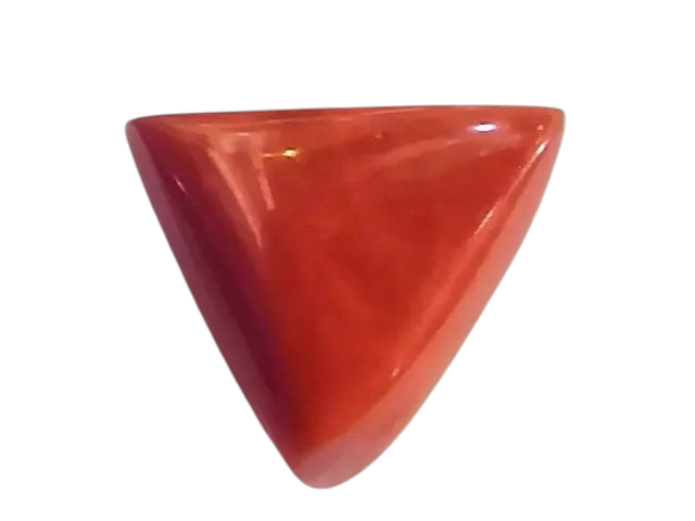 Huge 17.90 Ct Untreated Natural Italian Triangle Red Coral AAA - Venus Gems