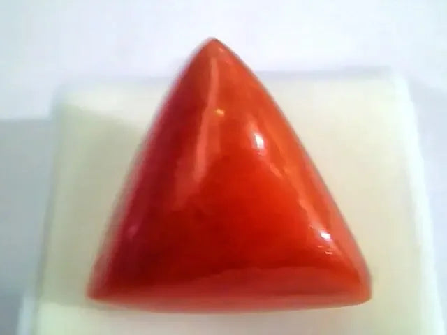 Huge 19.25 Ct Untreated Natural Italian Triangle Red Coral AAA - Venus Gems