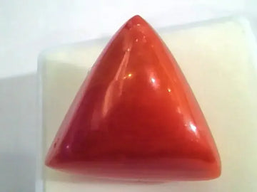 Huge 19.25 Ct Untreated Natural Italian Triangle Red Coral AAA - Venus Gems