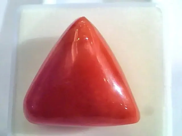 Huge 19.92 Ct Untreated Natural Italian Triangle Red Coral AAA - Venus Gems