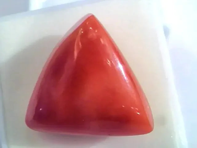 Huge 19.92 Ct Untreated Natural Italian Triangle Red Coral AAA - Venus Gems