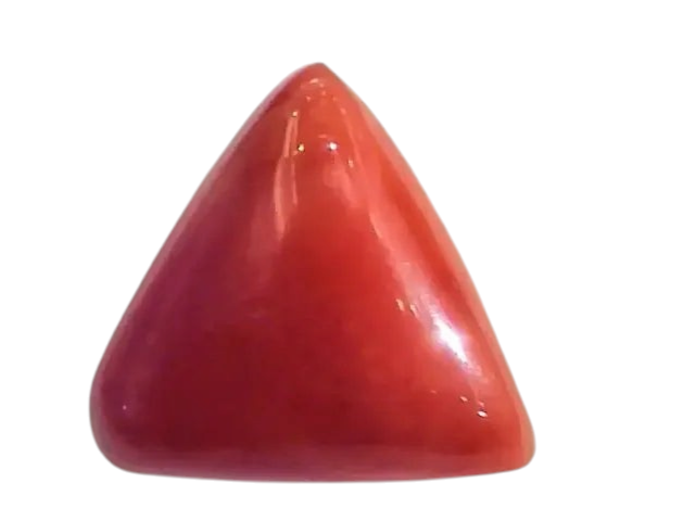 Huge 19.92 Ct Untreated Natural Italian Triangle Red Coral AAA - Venus Gems