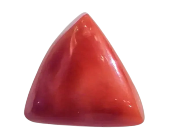 Huge 19.92 Ct Untreated Natural Italian Triangle Red Coral AAA - Venus Gems