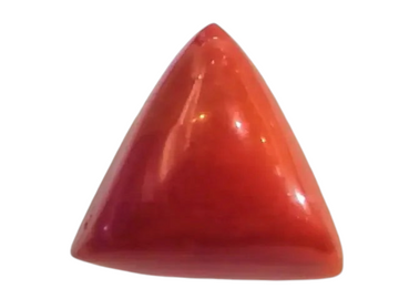 Huge 19.25 Ct Untreated Natural Italian Triangle Red Coral AAA - Venus Gems