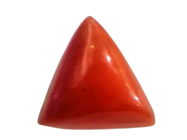 Huge 19.25 Ct Untreated Natural Italian Triangle Red Coral AAA - Venus Gems