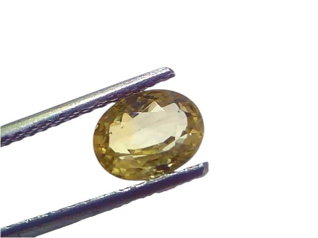 Oval-shaped 1.90 Ct certified unheated natural Ceylon yellow sapphire held with tweezers, showcasing its vibrant yellow hue.